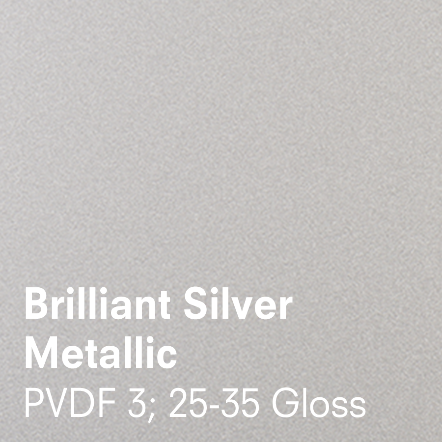 Brilliant Silver Metallic (3.5 x 5.5)